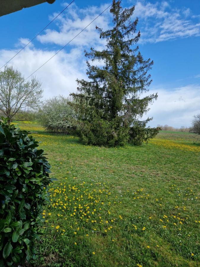 Maison Cassin47 Lavergne  Kültér fotó